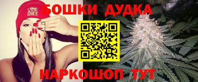 гидропоника Краснокаменск