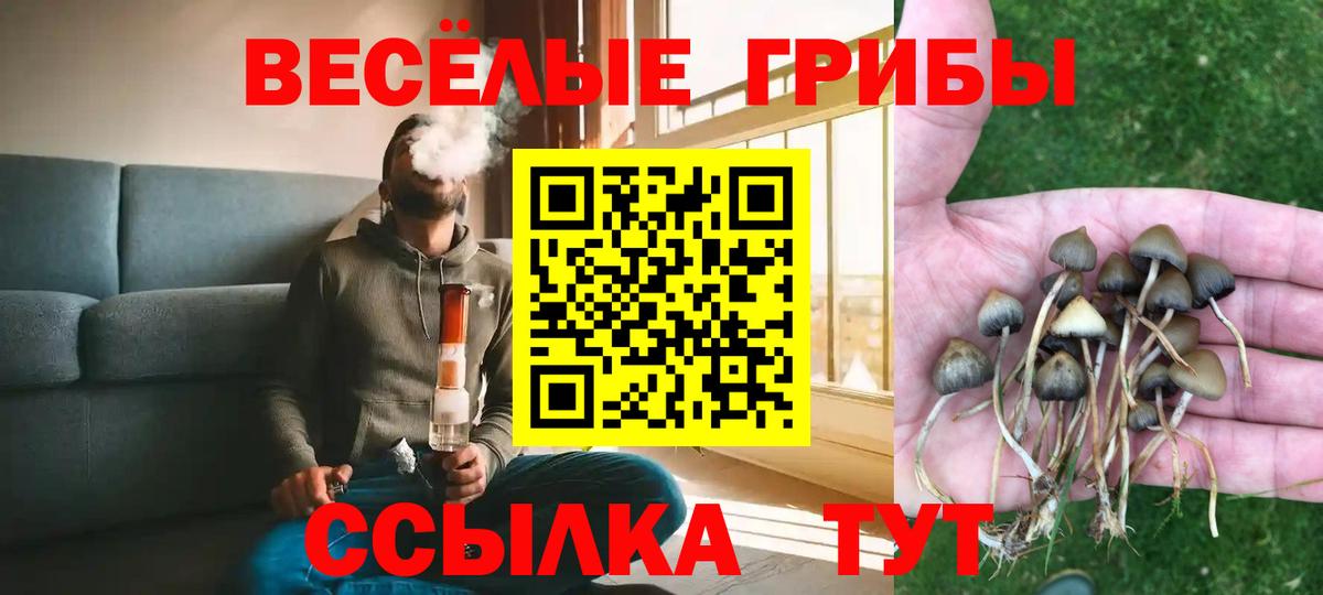 Псилоцибиновые грибы прущие грибы  Вход с VPN  Елец 